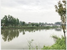  揚州農(nóng)村投放微動力污水處理設(shè)備 26個小盒子&ldquo;洗&rdquo;凈全村污水