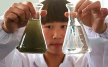  在沒有家用水質檢測儀的情況下如何判斷凈水器水質狀況