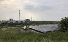  江蘇海安市違規撤銷沿海防護林和灘涂縣級自然保護區實施開發建設