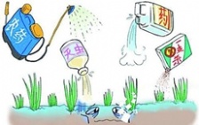  農(nóng)業(yè)污染總體不樂觀